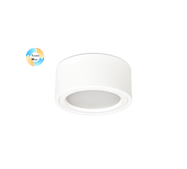 Ds 1020 Mon Tw Header